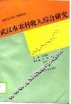 武汉市农村收入综合研究
