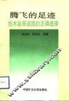 腾飞的足迹  技术发展道路的正确选择