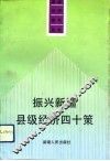 振兴新疆县级经济四十策