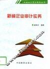 新编企业审计实务