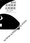 农村合作经济比较研究
