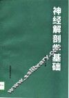神经解剖学基础