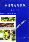 审计理论与实践