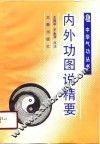 内外功图说精要