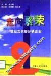 走向繁荣  世纪之交的乡镇企业