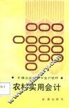 农村实用会计
