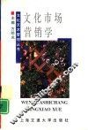 文化市场营销学