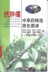 抗肿瘤中草药精选原色图谱