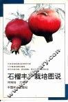 石榴丰产栽培图说