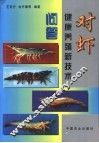 对虾健康养殖新技术问答