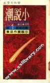 小说潮：联合报第一届小说奖作品集 电子书封面