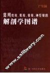 常用皮瓣.肌瓣.骨瓣.神经瓣的解剖学图谱