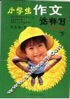 小学生作文这样写  中年级  下