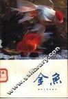 金鱼