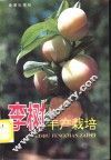 李树丰产栽培