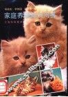 家庭养猫知识问答