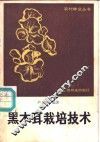 黑木耳栽培技术