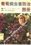 葡萄病虫害防治图册
