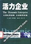 活力企业  从混乱到战略，从战略到实施