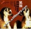 狐猴的神秘世界  马达加斯加的灵长类动物  摄影集