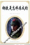 钢铁是怎样炼成的
