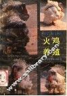 火鸡养殖