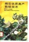棉花优质高产栽培技术