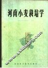 河南小麦栽培学