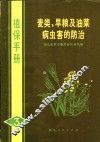 麦类、旱粮及油菜病虫害的防治