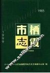 栖霞市志  1985-1999
