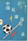 中国足球沉思录