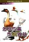 怎样提高养鹅效益