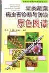 豆类蔬菜病虫害诊断与防治原色图谱