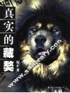真实的藏獒