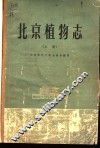 北京植物志  上