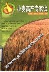 小麦高产专家谈