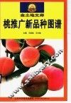 桃推广新品种图谱