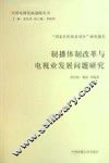 制播体制改革与电视业发展问题研究
