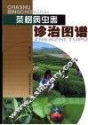 茶树病虫害诊治图谱