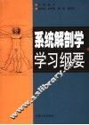 系统解剖学学习纲要