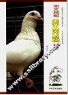 图文精解养肉鸽技术