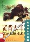 黄背木耳高效栽培技术