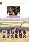 中国西南民族生育文化研究