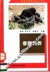 香猪饲养