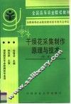 干燥花采集制作原理与技术