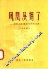 凤凰展翅了：新洲县风凰乡整风中的几个小故事