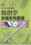 组织学实验彩色图谱