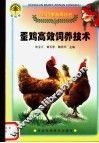 蛋鸡高效饲养技术