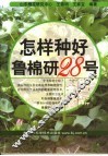 怎样种好鲁棉研28号