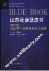 山东社会蓝皮书  2007年：山东省社会形势分析与预测